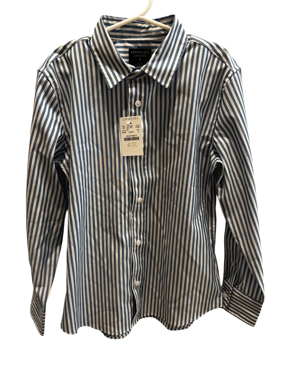 J. Crew Crewcuts Boys' Blue and White Striped Ludlow Button-Down Shirt
